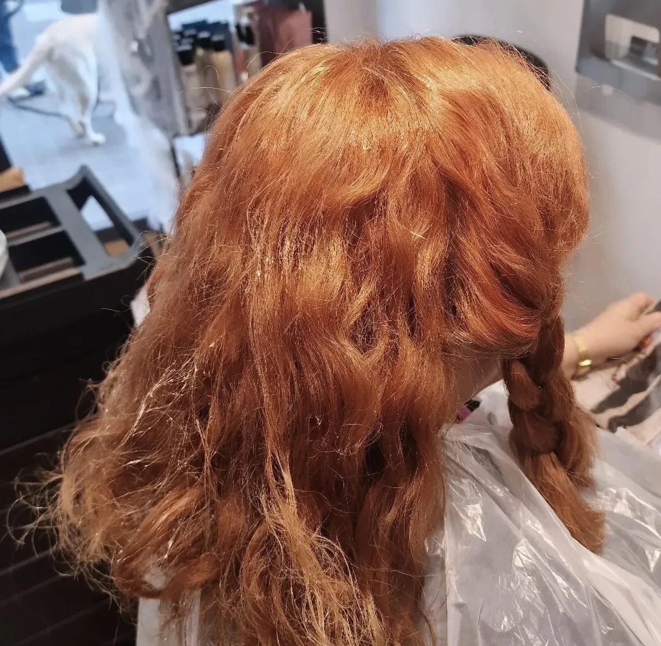 Proceso de coloración capilar